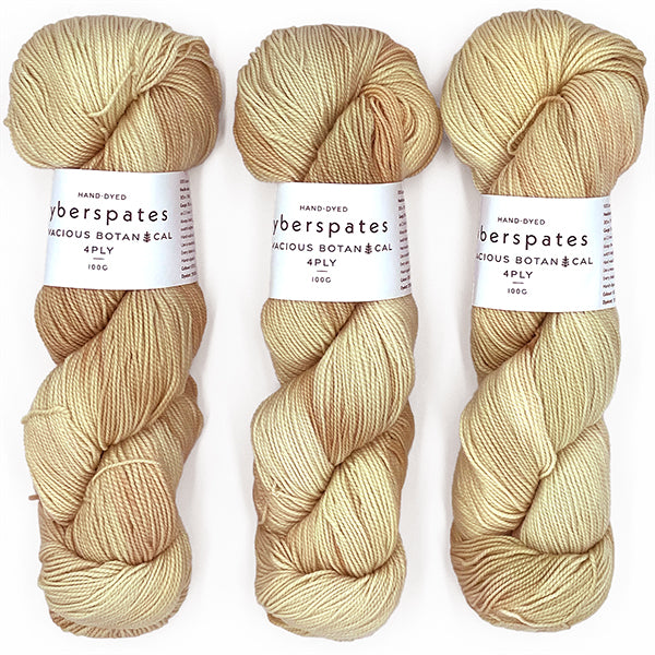 Fyberspates: Vivacious Botanical 4Ply – Champagne Forest 670