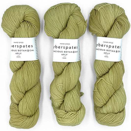 Fyberspates: Vivacious Botanical 4Ply – Lichen 673