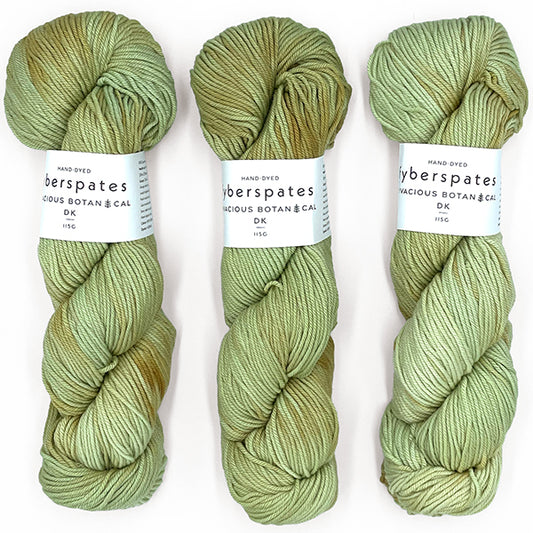 Fyberspates: Vivacious Botanical DK – Evernia 879