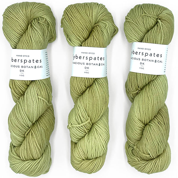 Fyberspates: Vivacious Botanical DK – Lichen 873