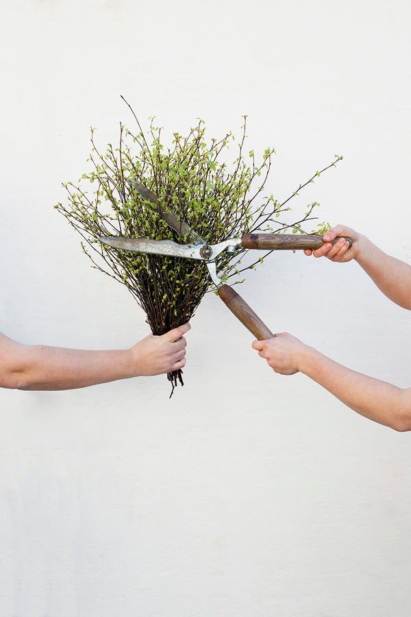 The Colours of Nature