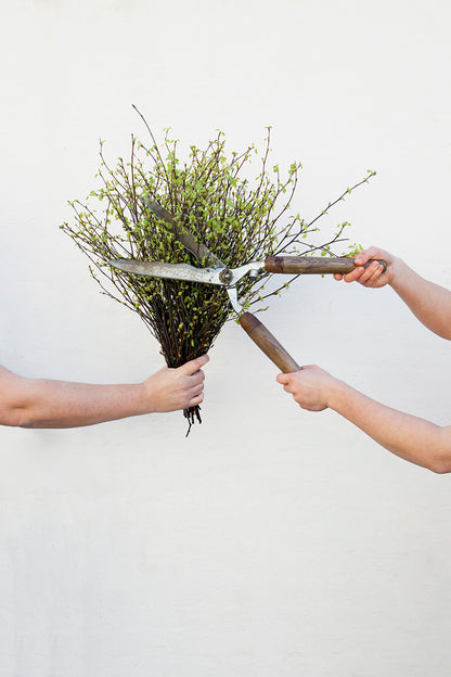 The Colours of Nature