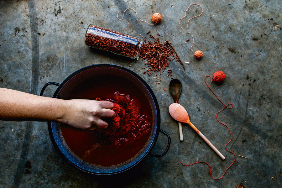 The Colours of Nature