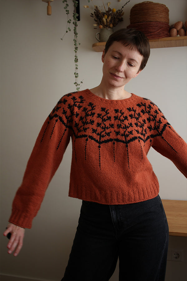 Yarn Kit - Rustic & Crisp, Helica Pullover by Teti Lutsak