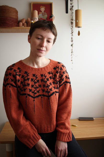 Yarn Kit - Rustic & Crisp, Helica Pullover by Teti Lutsak