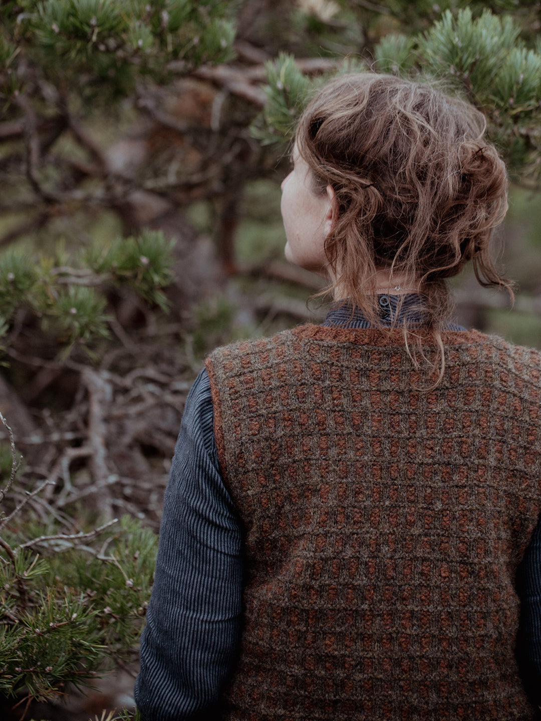 The Island and the Forest: A Knitted Correspondence