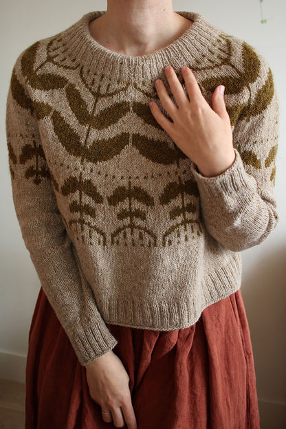 Yarn Kit - Polina Pullover by Teti Lutsak