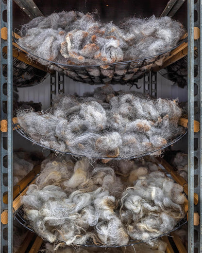The Wonder of Wool